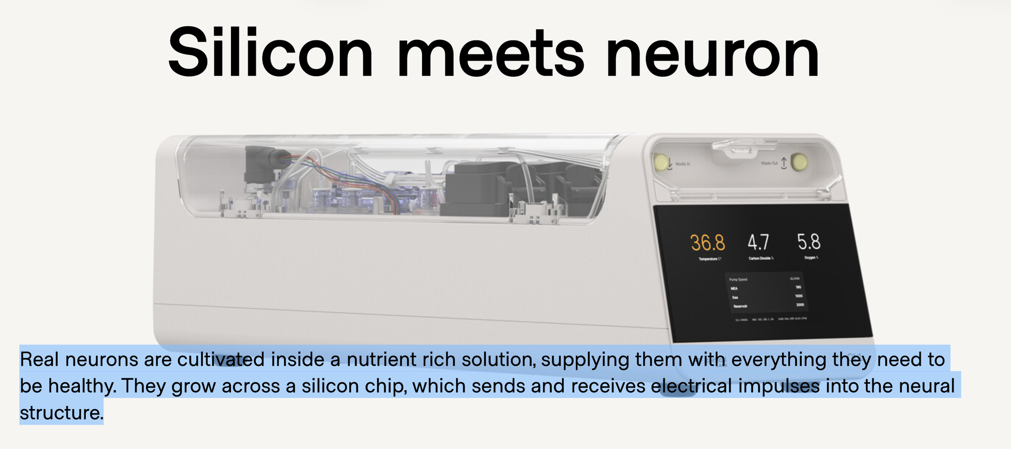 cortical-2.png